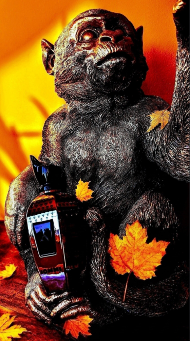 Tony Iommi Monkey Special Xerjoff para Hombres y Mujeres