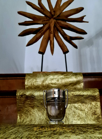 Invictus Rabanne para Hombres